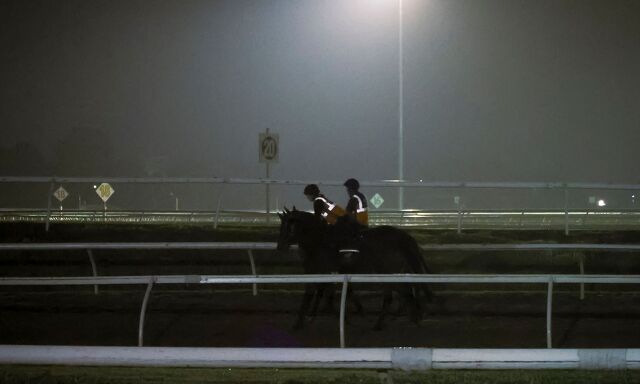 Te Akau Trans Tasman Weekend Trackwork
