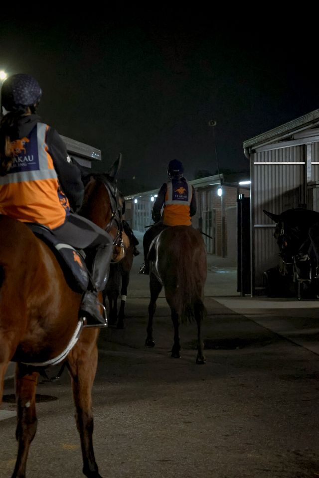 Te Akau North South Tuesday Trackwork