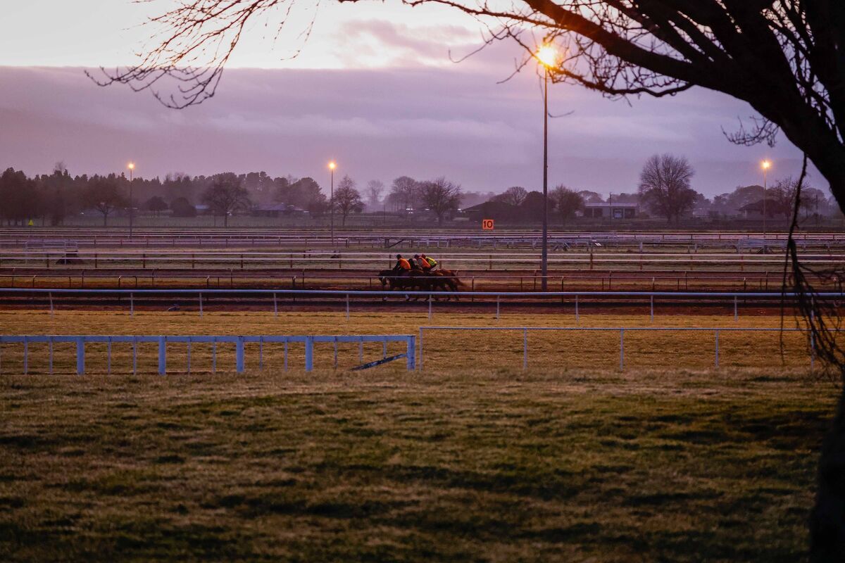 Te Akau Matamata Trackwork