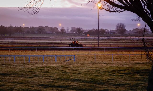 Te Akau Trans Tasman Saturday Trackwork