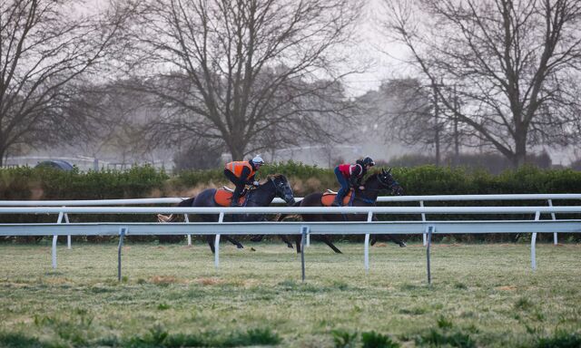 Te Akau North South Thursday Trackwork