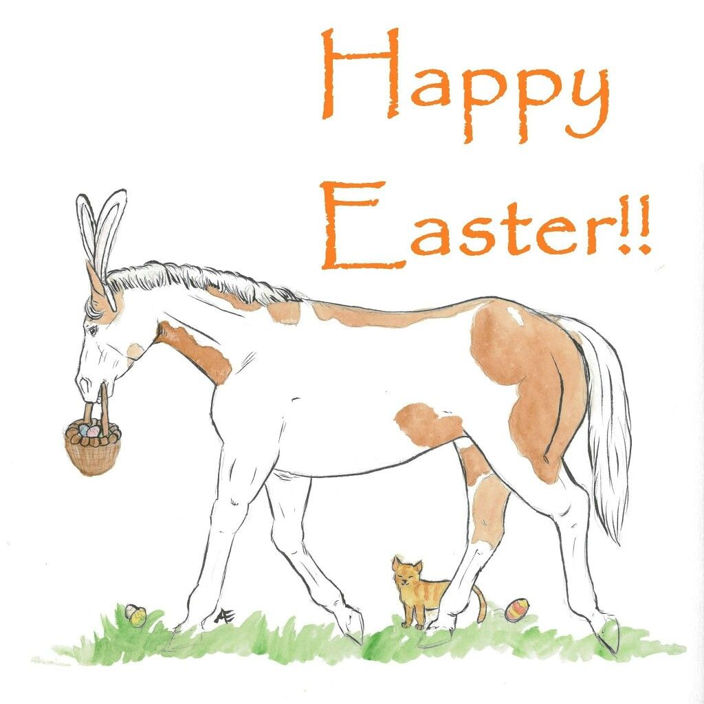 Te Akau Super Easter Saturday Preview