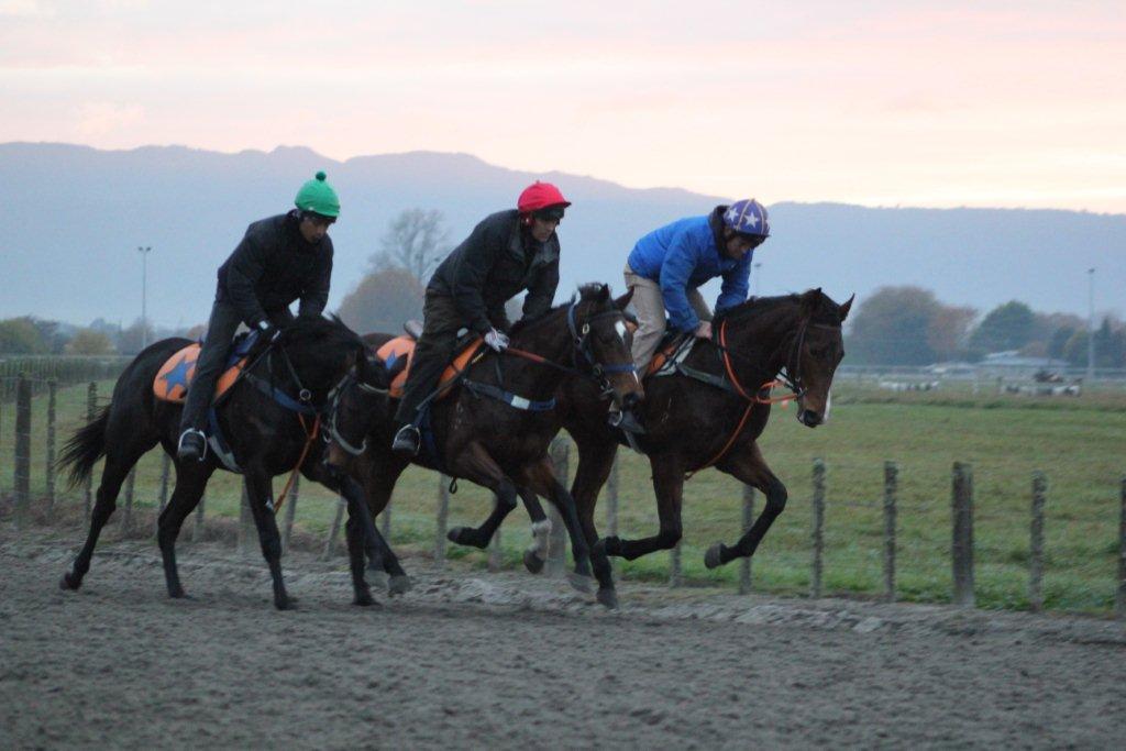 Te Akau Thursday Trackwork