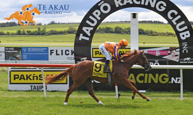 Te Akau Trans Tasman Friday Preview
