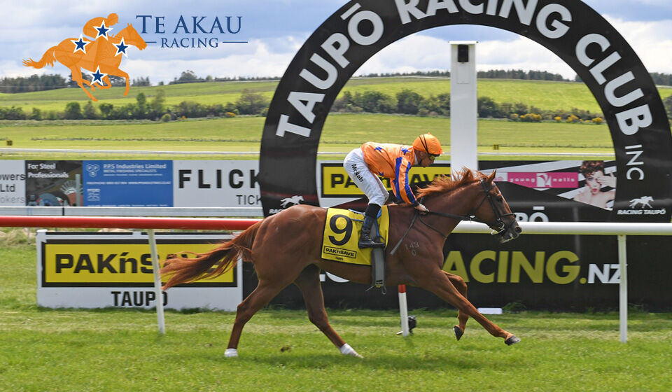 Te Akau Taupo Treble - Egyptian Queen Rules