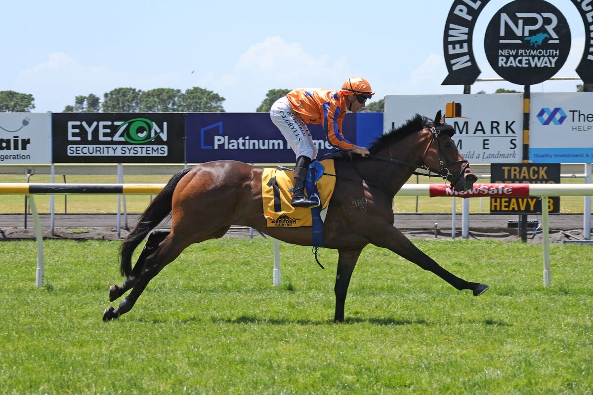 Te Akau Ellerslie Saturday Preview