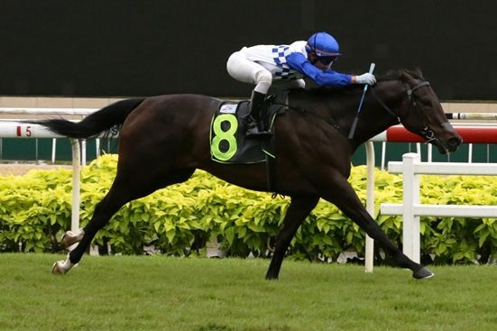 Elite Invincible Powers Home