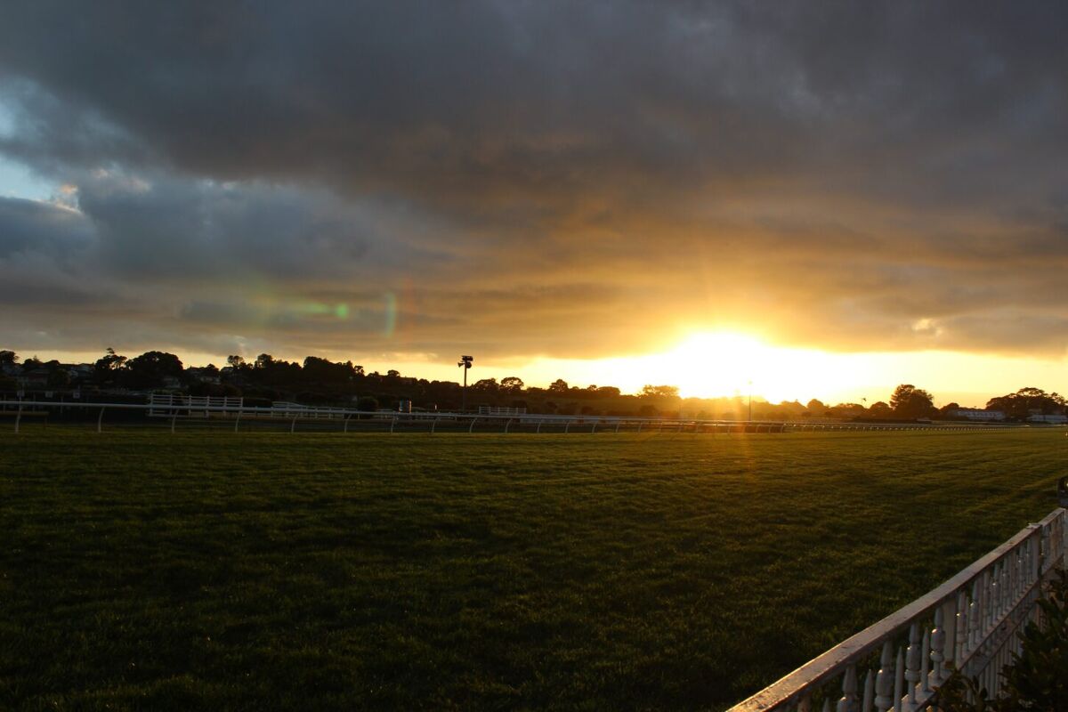 Ellerslie Gallops