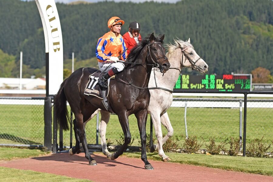 Embellish & Opie to Melbourne