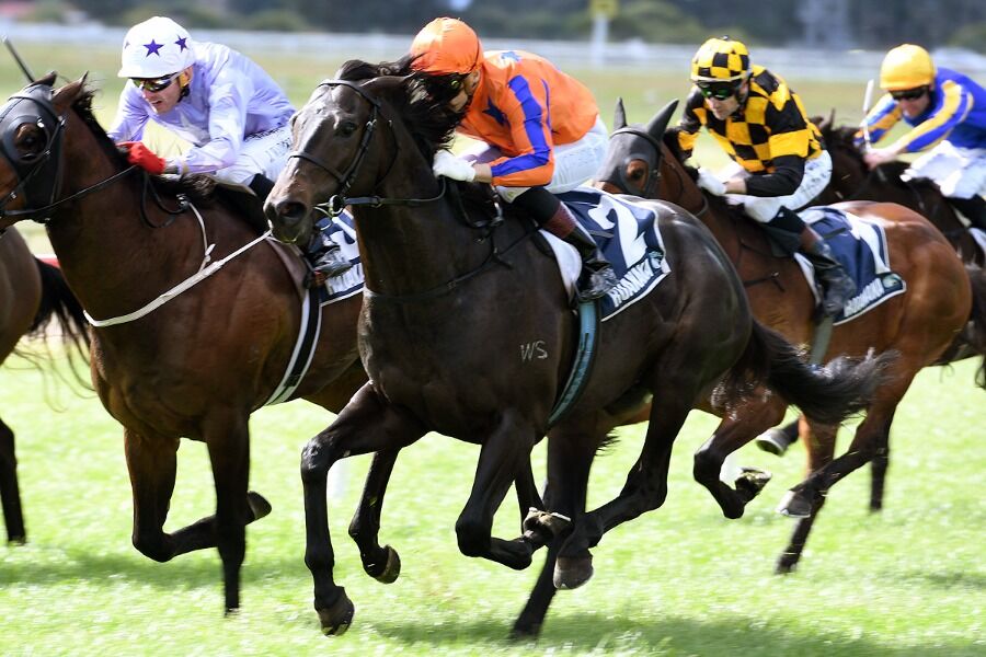 Embellish Rises to Guineas' Favouritism
