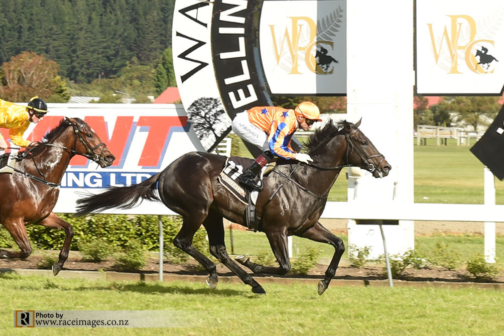 Te Akau Horses Tackle Australian Group Ones