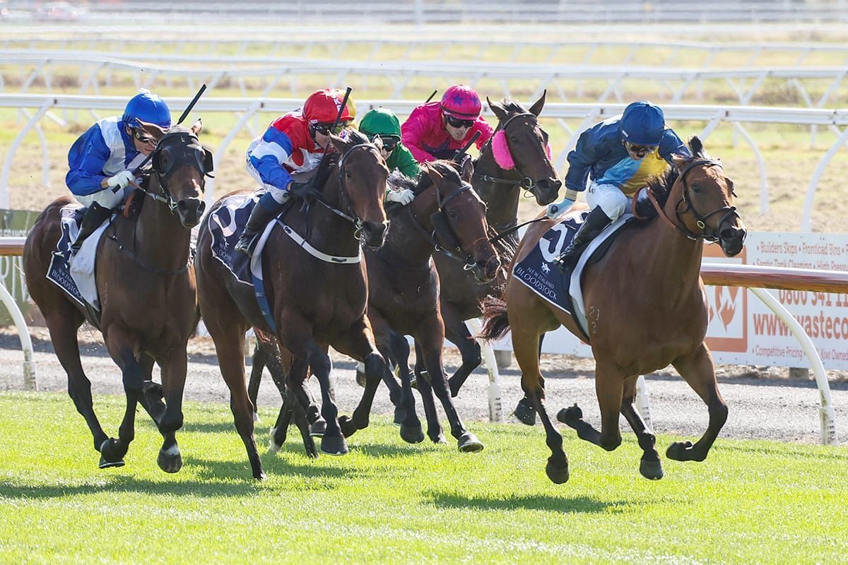 Te Akau's Champagne Triple Threat