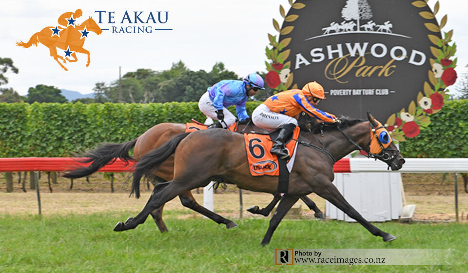 Love Conquers All - at Gisborne