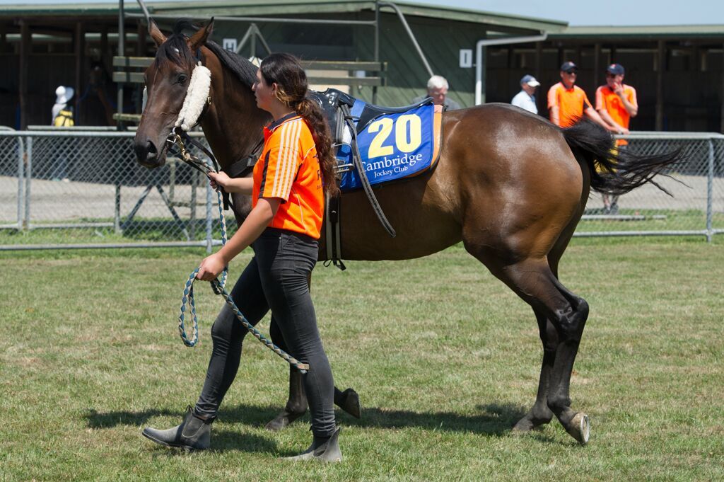 Te Akau Cambridge Trials' Report