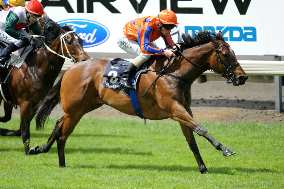 Te Akau Counties Midweek Preview