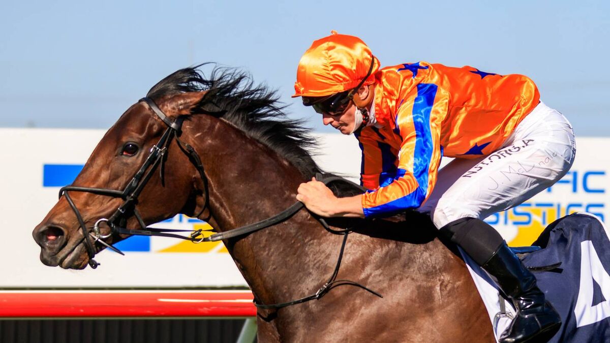 Entriviere Star Attraction as Crowds Return to Ellerslie