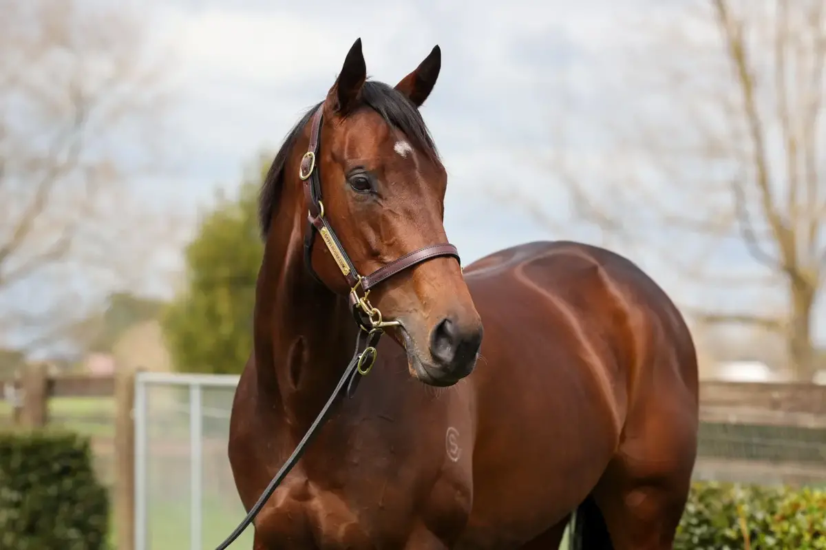 Exceptional Entriviere for sale on Gavelhouse Plus