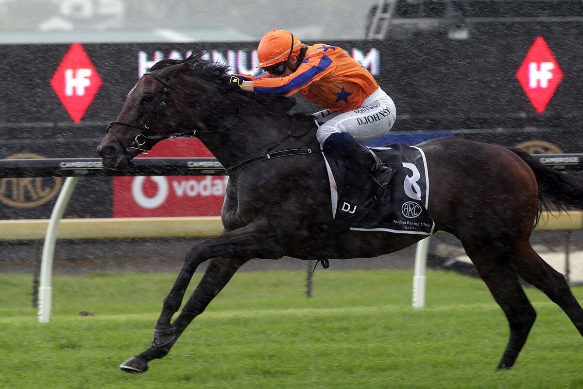Te Akau TV Weekend Preview - 11th September