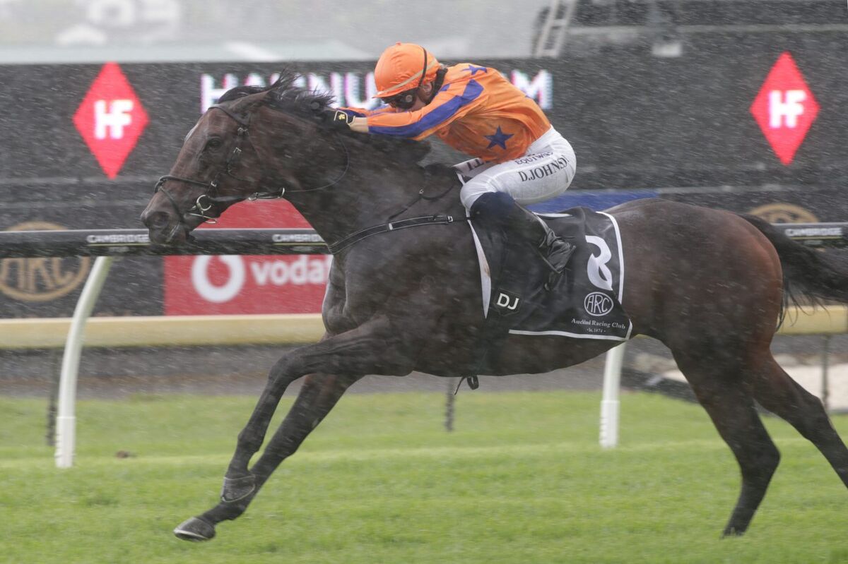 Te Akau Trans Tasman Boxing Day Preview