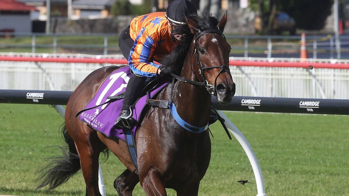 Champion Jockey Labels Entriviere a