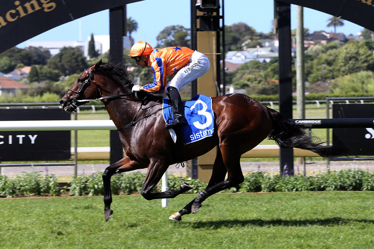 Venue Change Positive for Classy Kiwi Mare