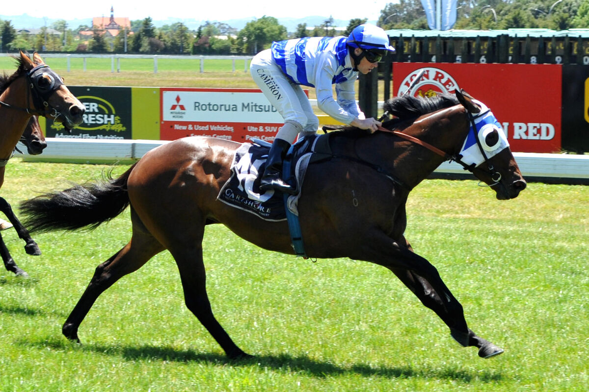Equanimity Excellent