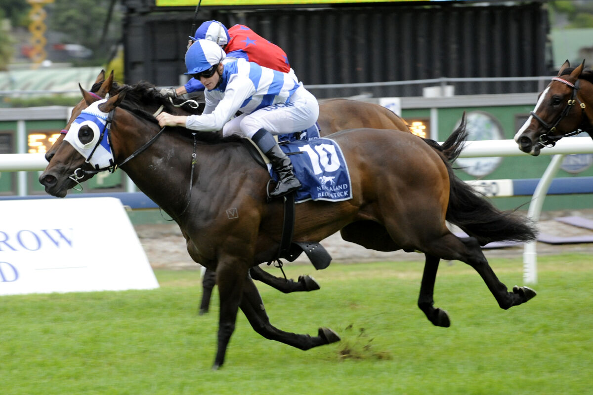 Huge Te Akau Night at Ellerslie