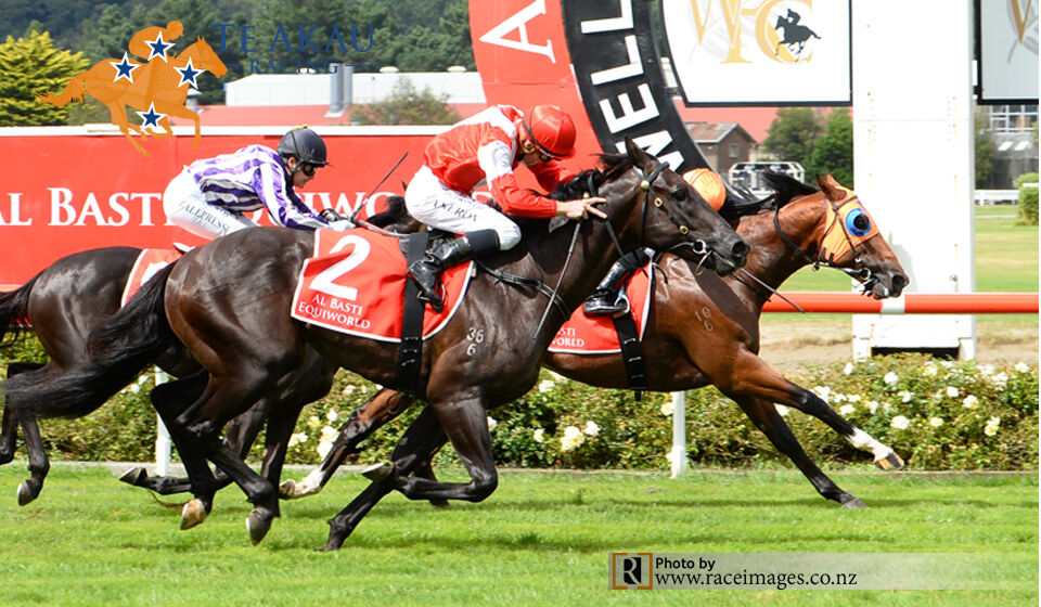 Equinox Stars on the Track