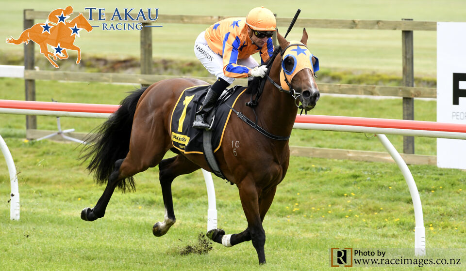 Te Akau Ellerslie Preview