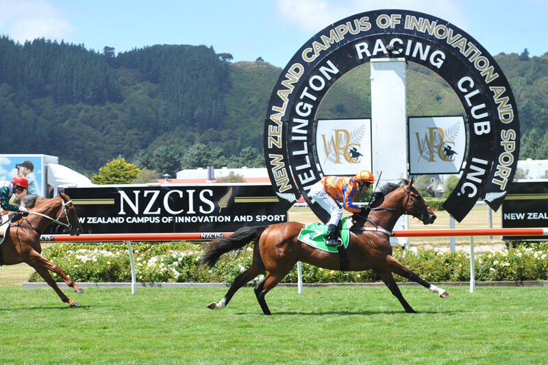 Te Akau Revisits Happy Hunting Grounds