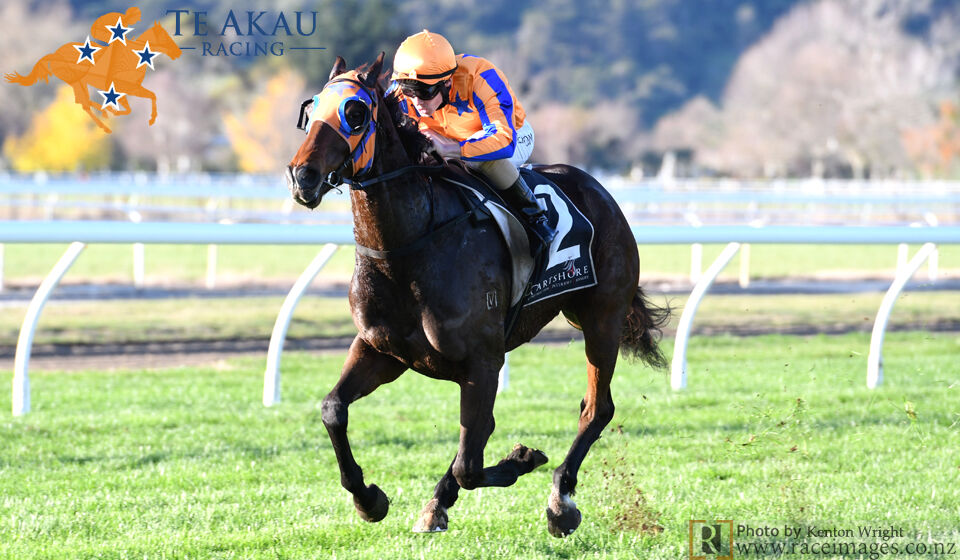 Te Akau Matamata Preview