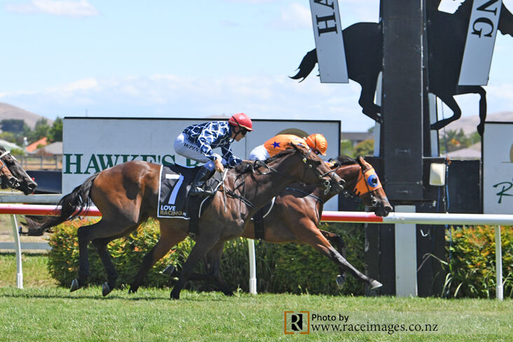 Te Akau TV - Weekend Preview