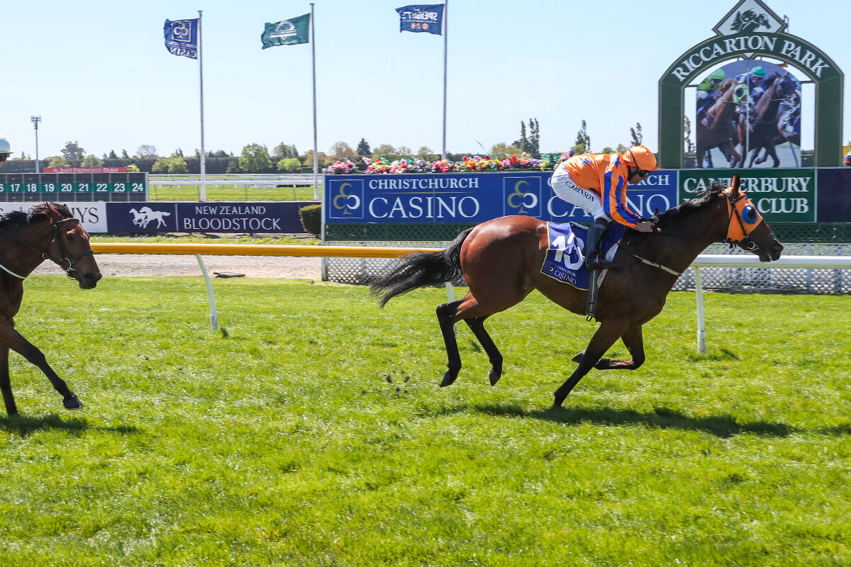 Exaltation Excellent on Debut