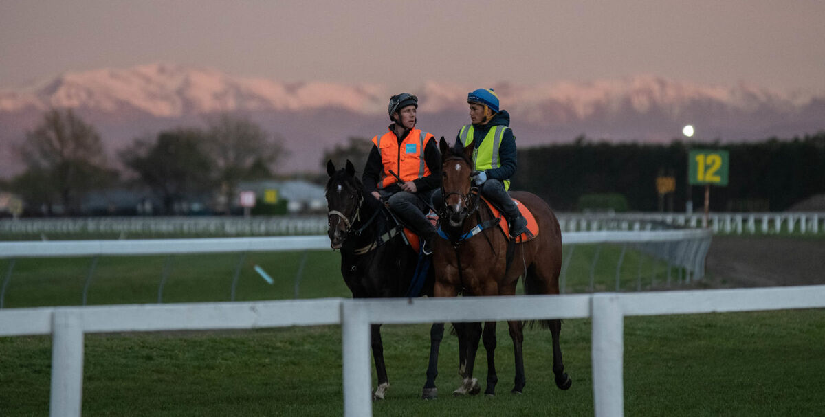 Te Akau Thursday Trackwork