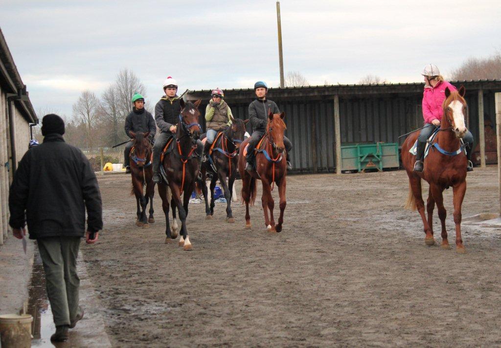 Te Akau Friday Trackwork