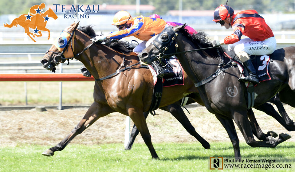 Te Akau Sunday Counties Preview
