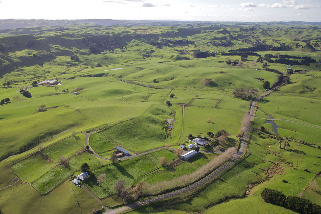 Te Akau Monday Update