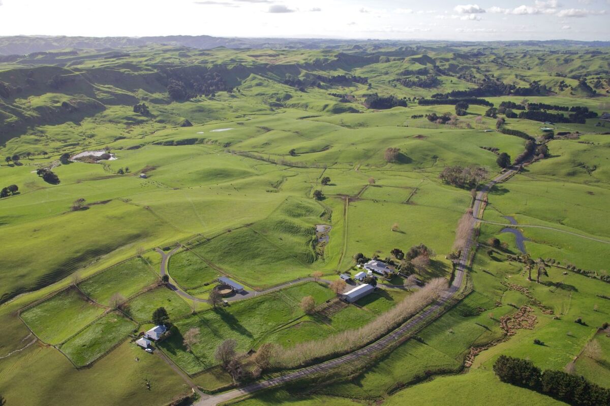Te Akau Midweek Update