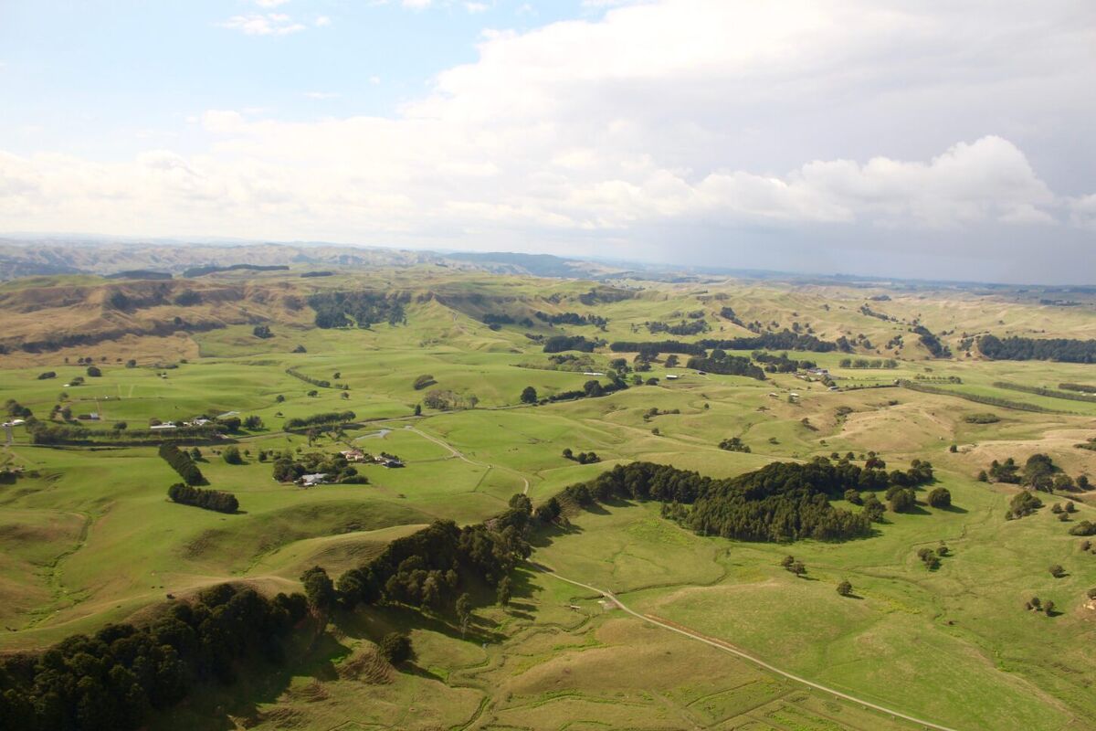 Te Akau Tuesday Update