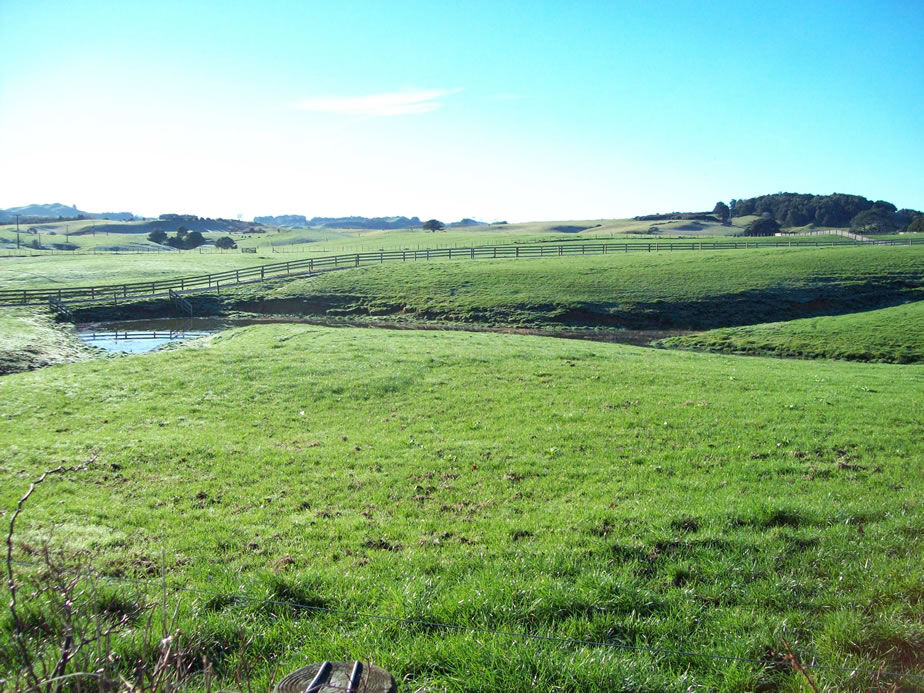 Te Akau Tuesday Update