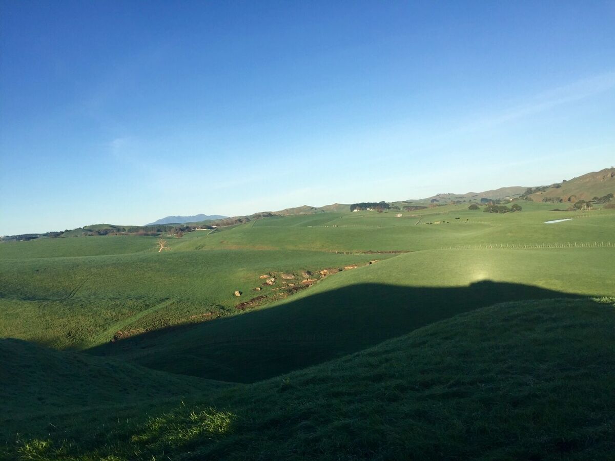 Honda Films at Te Akau Stud