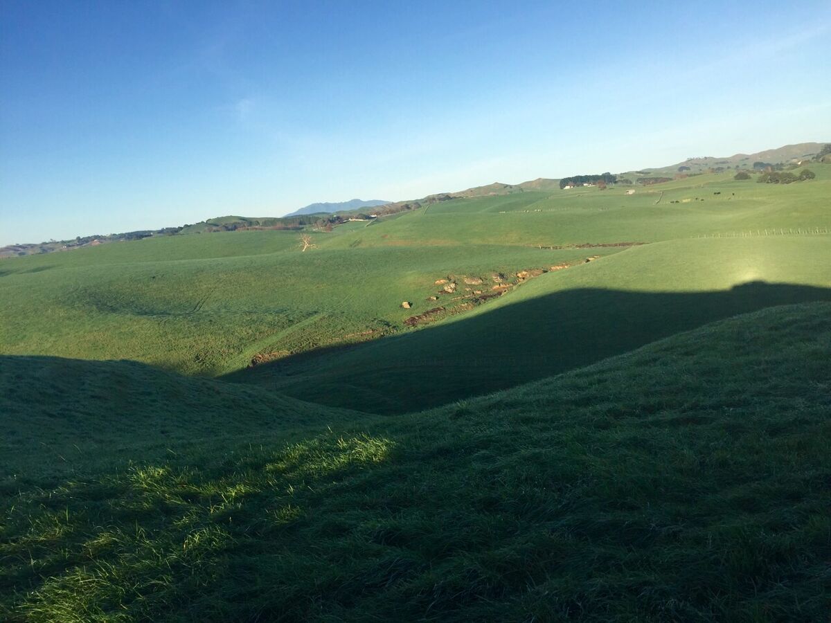 Te Akau Monday Update