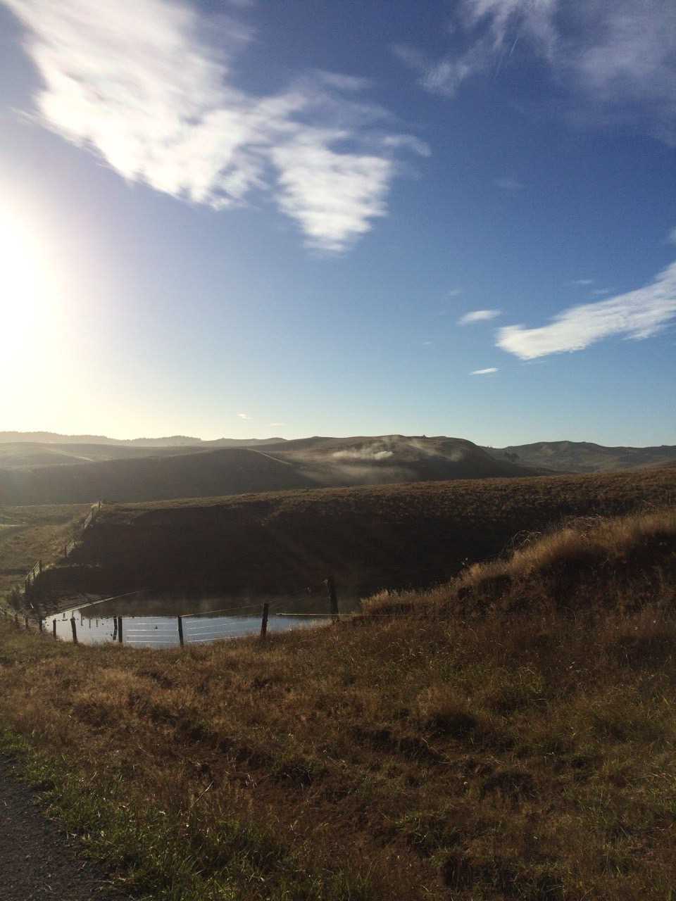 Te Akau Friday Update