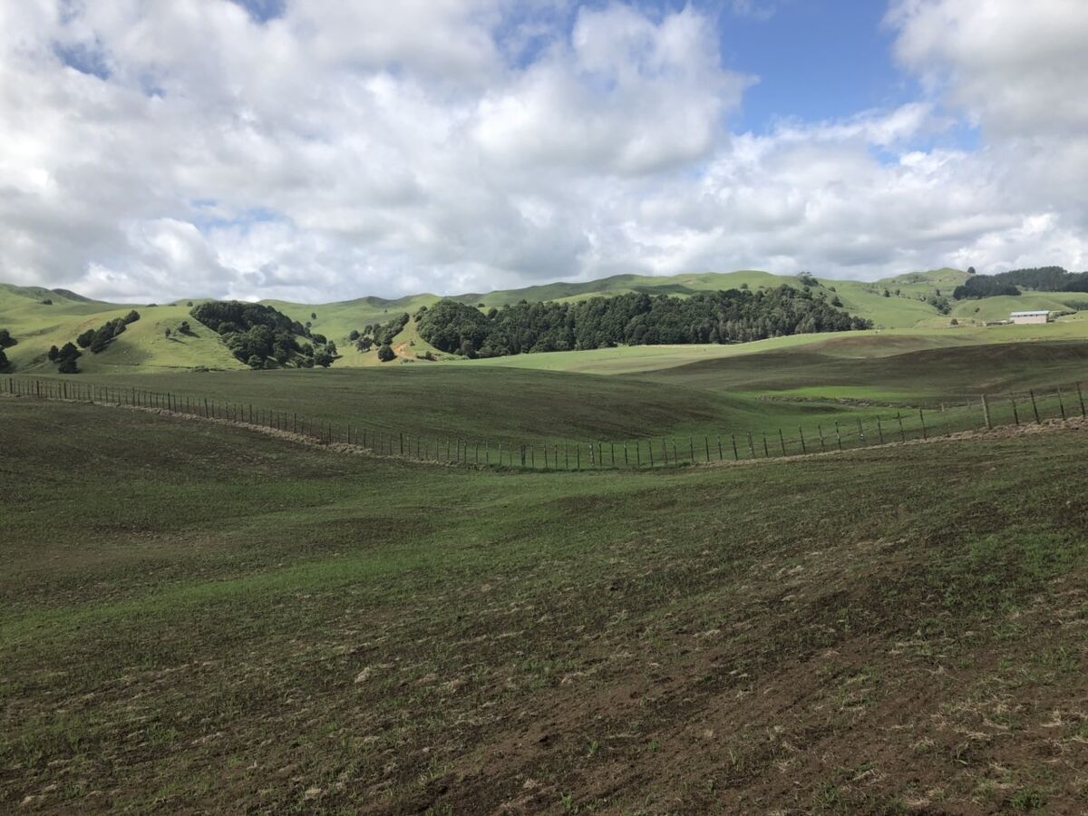 Te Akau Monday Update