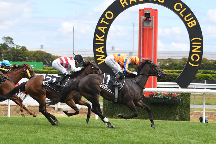 Three Win Saturday - Fashion Shoot Shines