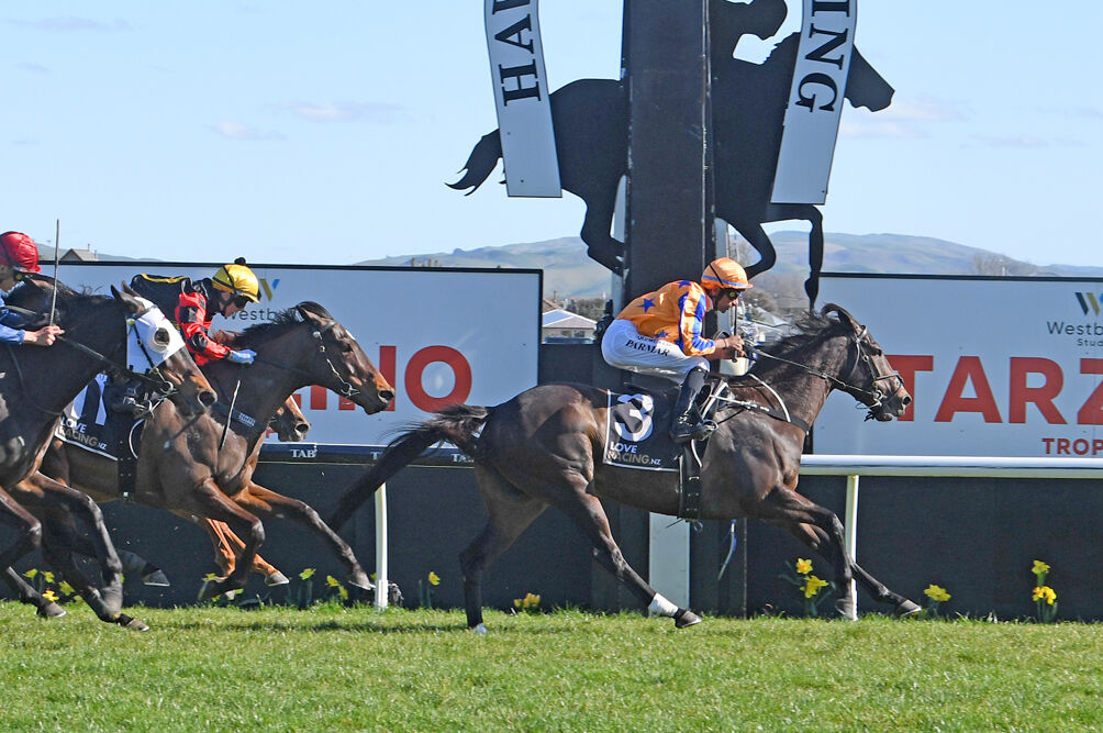 5 Win Trans Tasman Saturday - Fashion Shoot Superb