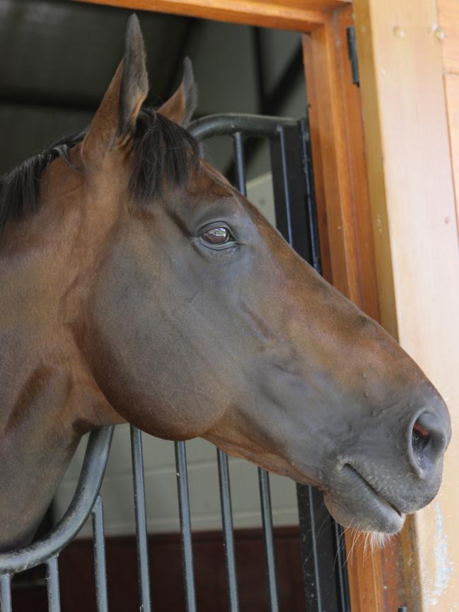 Heroic Valour Makes History