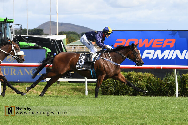 Four NZ Saturday Wins - Feelin' Fancy First