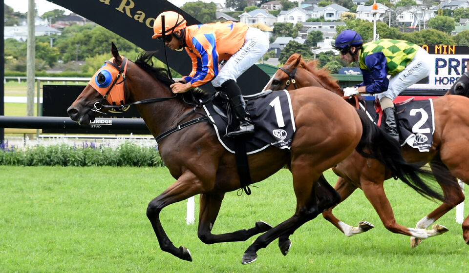 Te Akau Ellerslie Sunday Preview