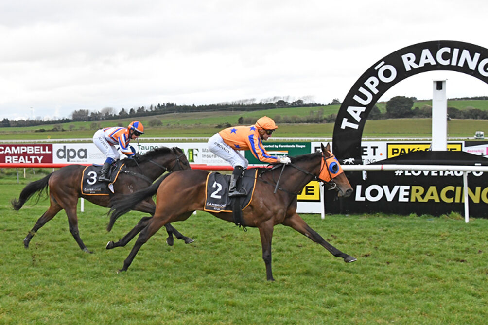 Te Akau Taupo Friday Preview